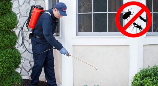 Saraykent Kemirgen İlaçlama böcek ilaçlama ve haşere kontrolü — ilaclama-tr.com